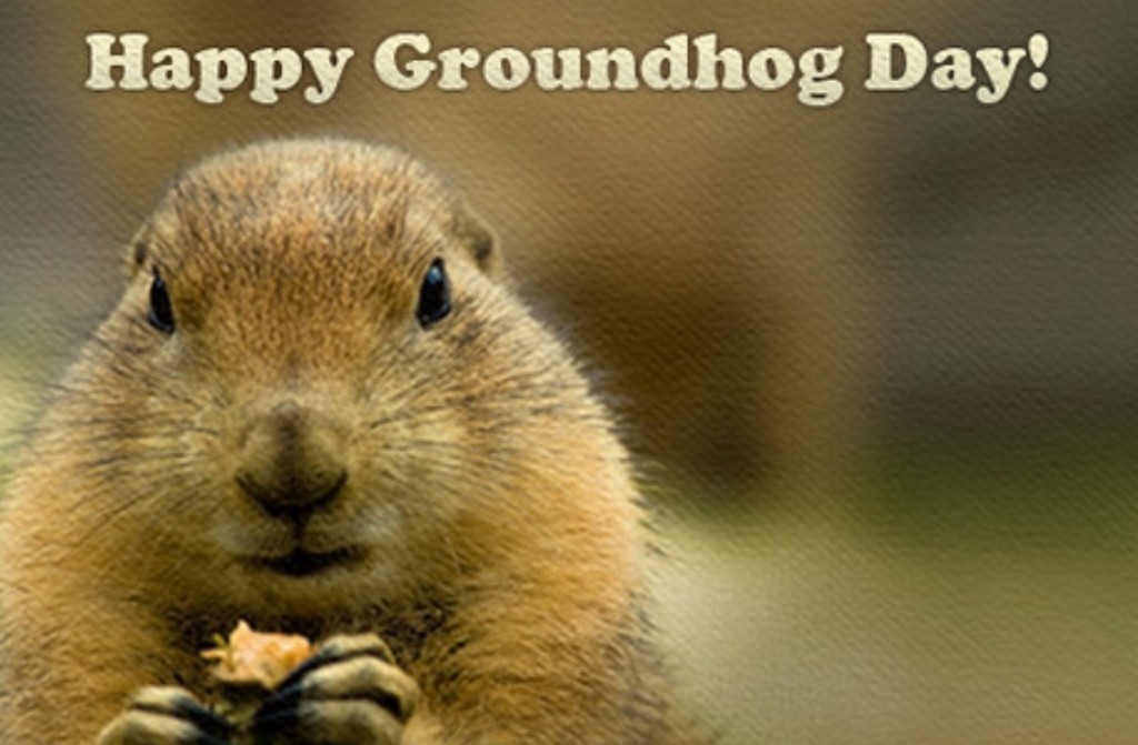 Groundhog Day 2016